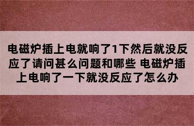 电磁炉插上电就响了1下然后就没反应了请问甚么问题和哪些 电磁炉插上电响了一下就没反应了怎么办